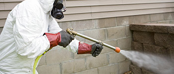 Дератизация