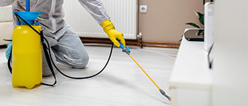 Дератизация