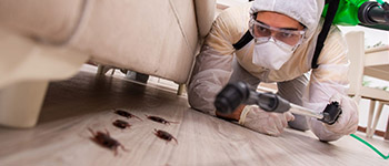 Дезинфекция