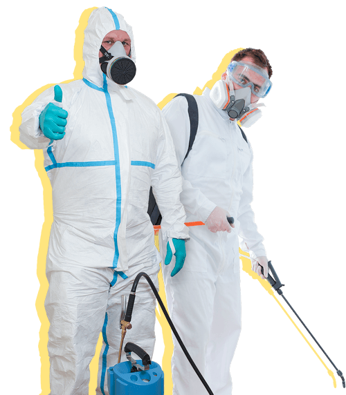 Центр дезинсекции, дезинфекции, дератизации