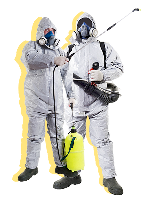 Дератизация