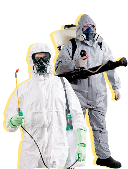 Дератизация