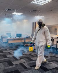 наша работа (1)