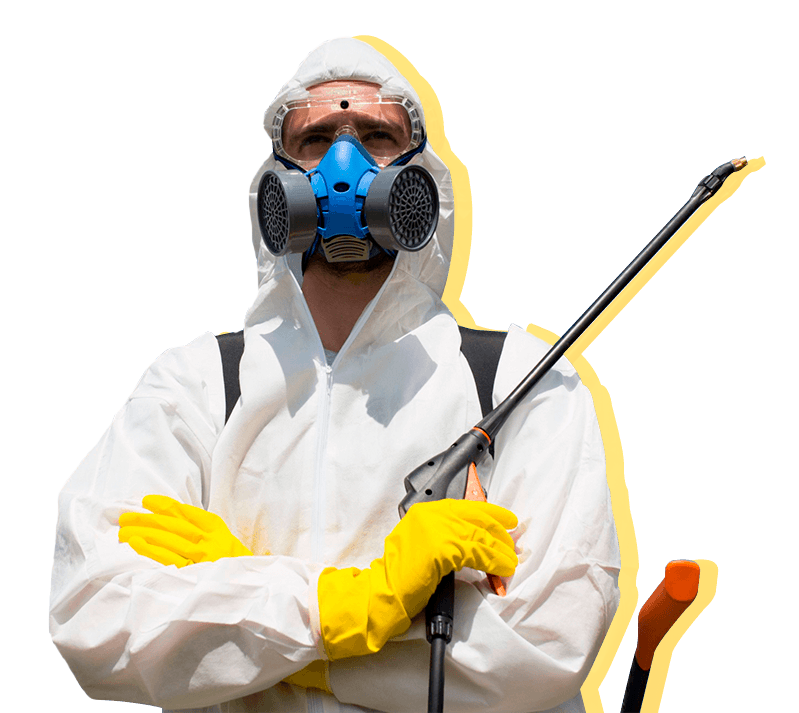 Дератизация