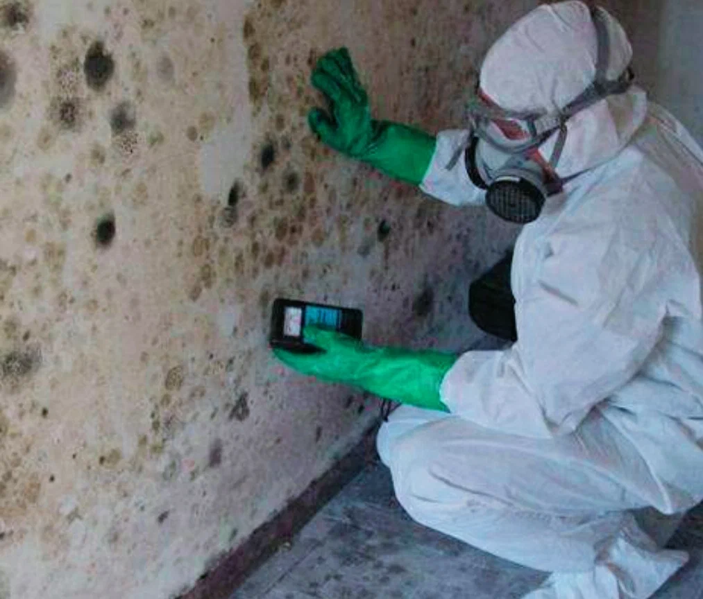 Дезинфекция