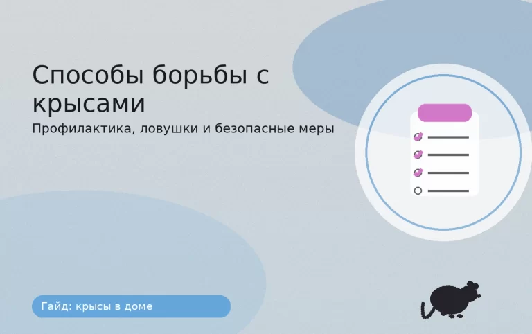 способы борьбы с крысами