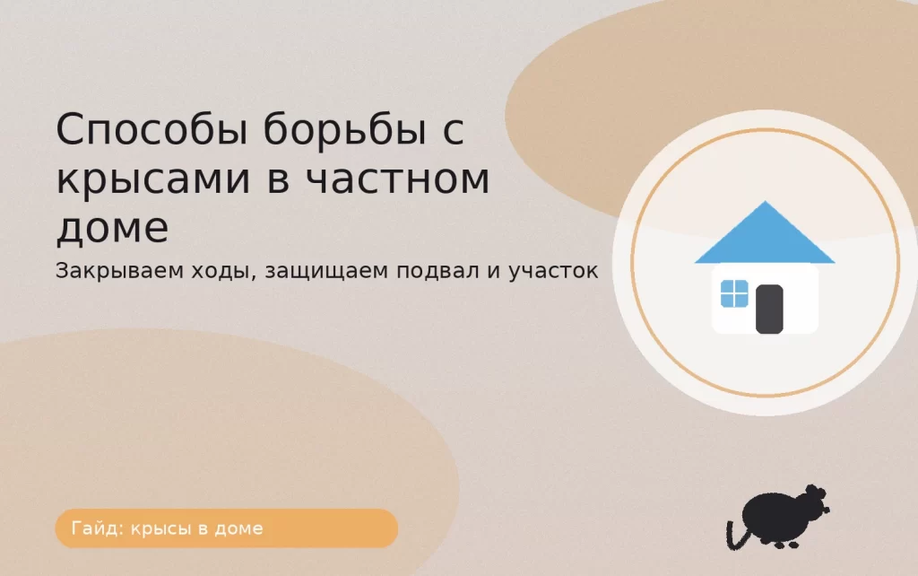 способы борьбы с крысами в частном доме